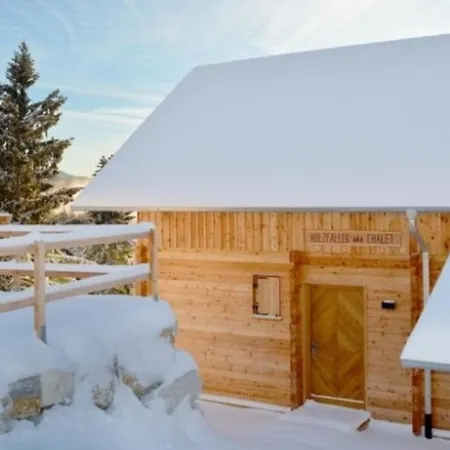 Holiday home Holzfaeller-chalet *